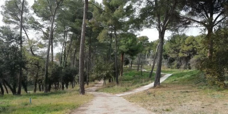 El camp de golf de Sant Joan està en desús des de 2018