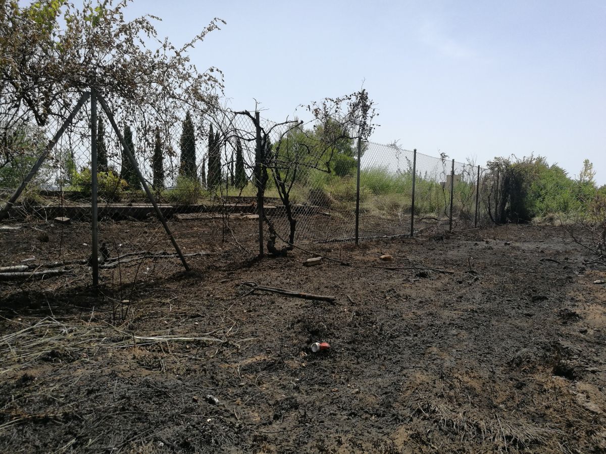 Extensió de camp cremada a Can Serrafossà, Rubí, durant la nit de Sant Joan.