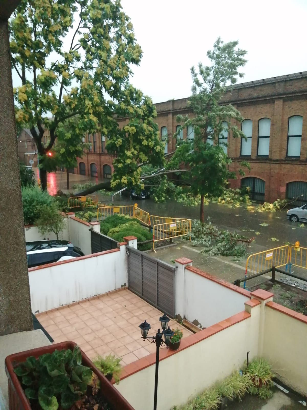 Vista de l'arbre caigut sobre el cotxe des d'una casa del carrer Cadmo