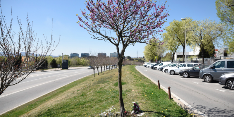 L'atropellament es va produir al carrer lateral de la carretera de Rubí FOTO: Bernat Millet