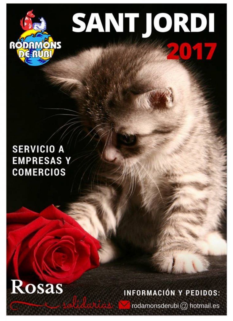 Imatge promocional de Rodamons de Rubí per a Sant Jordi