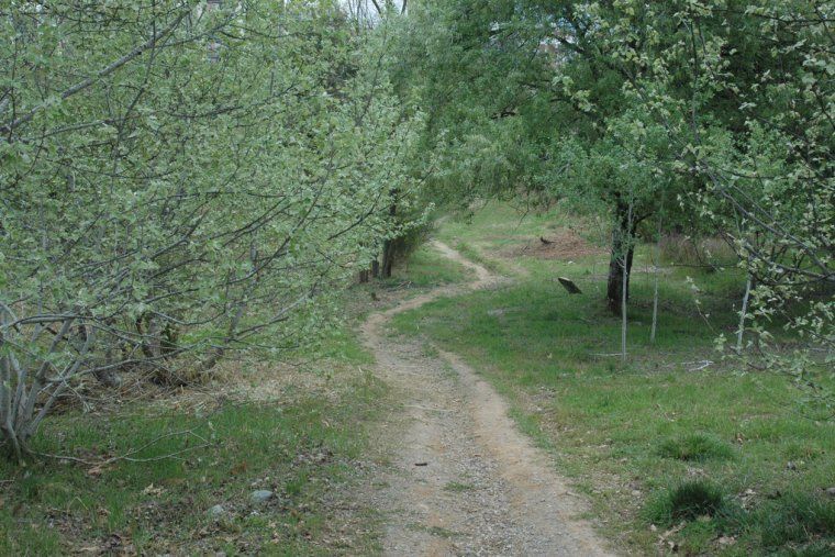 La zona del torrent de les Abelles, a Rubí