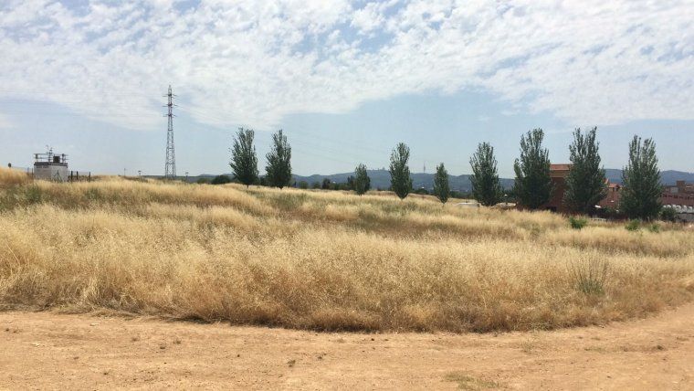 Prohibit encendre foc en terrenys forestals o fer barbacoes en àrees de lleure a Rubí
