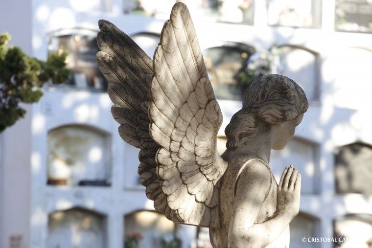 Tots Sants al cementiri de Terrassa