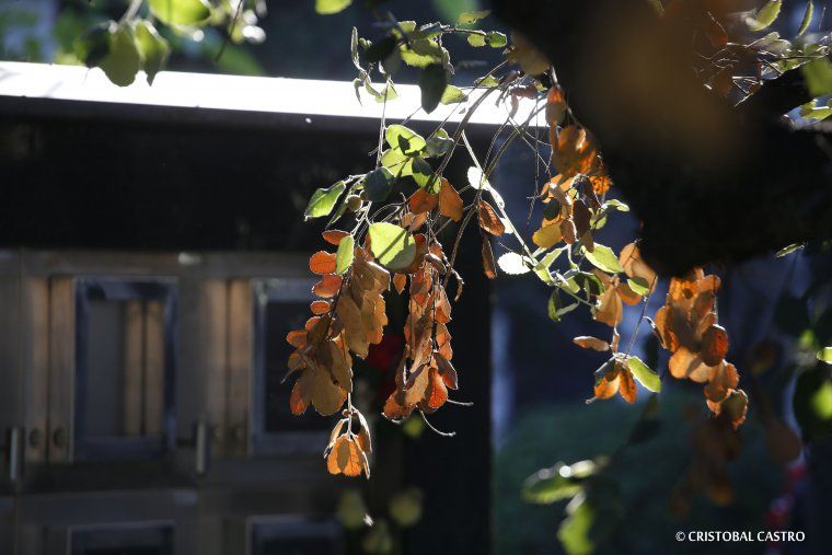 Tots Sants al cementiri de Terrassa