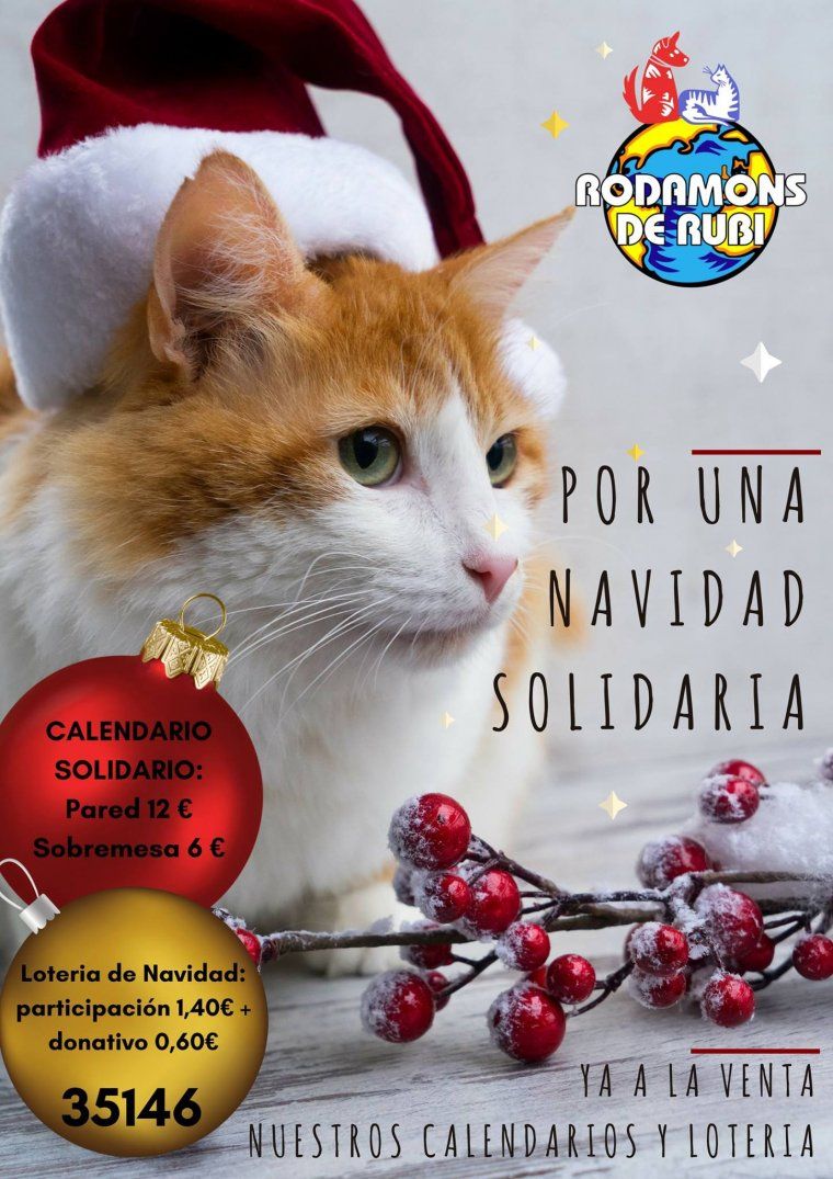 Cartell de la iniciativa solidària Cartell de la iniciativa solidària