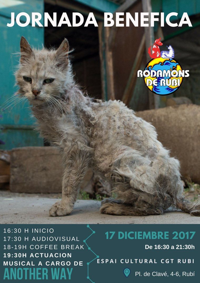 La Jornada Benèfica dels Rodamons de Rubí serà el 17 de desembre a les 16.30 h