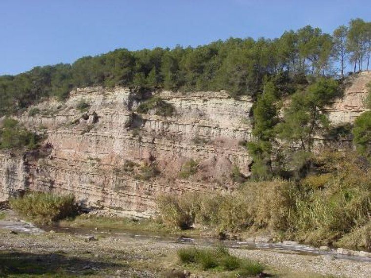 Els estrats miocènics de Can Calopa, popularment anomenats "els regles" Els estrats miocènics de Can Calopa, popularment anomenats "els regles"