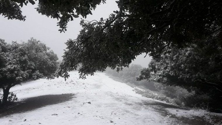 Neu a la Mola