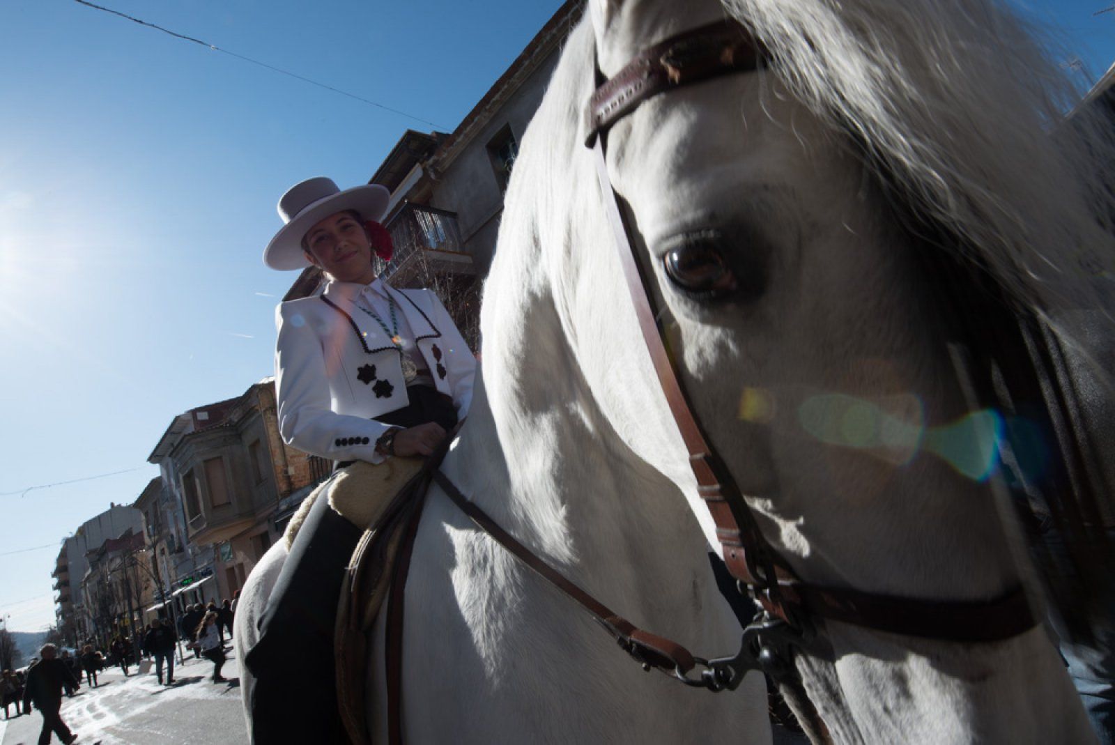 Anterior edició de les festes de Sant Antoni Abat i els Tres tombs