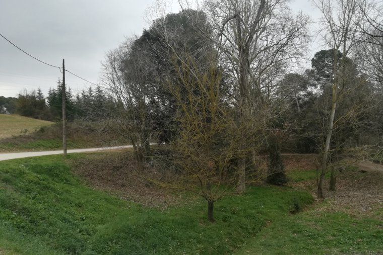 Torrent de Can Xercavins, sota el qual discorre el col·lector