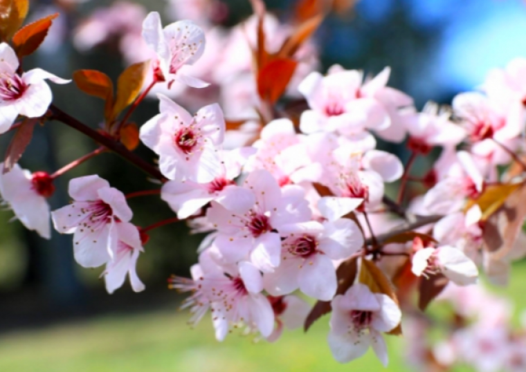 Sol i calor durant el cap de setmana