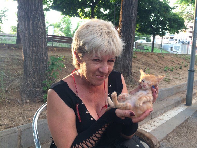 Mercedes amb un dels últims gats rescatats Mercedes amb un dels últims gats rescatats