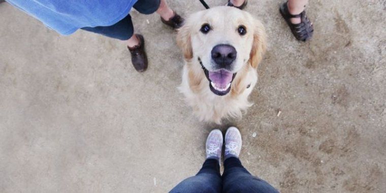 Vacances per a tots els membres de la família