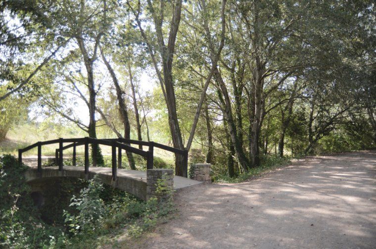 Una de les activitats previstes en la nova edició del programa d’activitats Gaudeix de la vida en gran! és una passejada pel torrent dels Alous