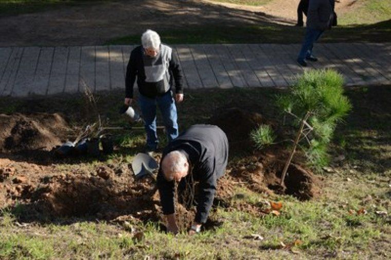 Els participants poden plantar arbres i arbustives durant el Dia de l'Arbre Autòcton Els participants poden plantar arbres i arbustives durant el Dia de l'Arbre Autòcton