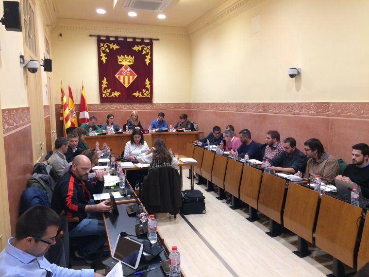 Ple de mes de gener