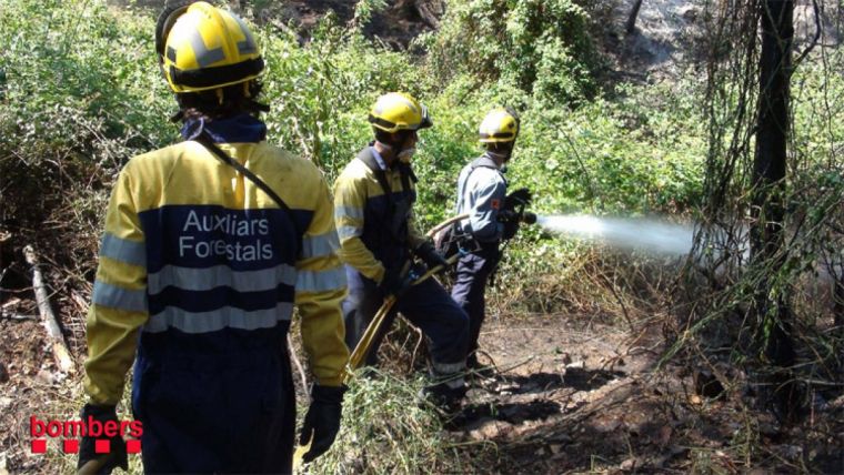 Els Bombers en un incendi forestal