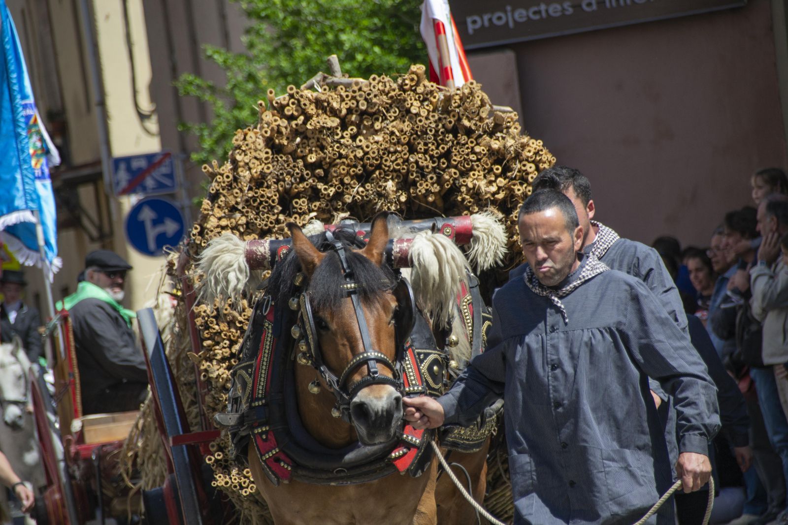 GALERIA! Les millors imatges de la 22a Trobada Nacional dels Tres Tombs