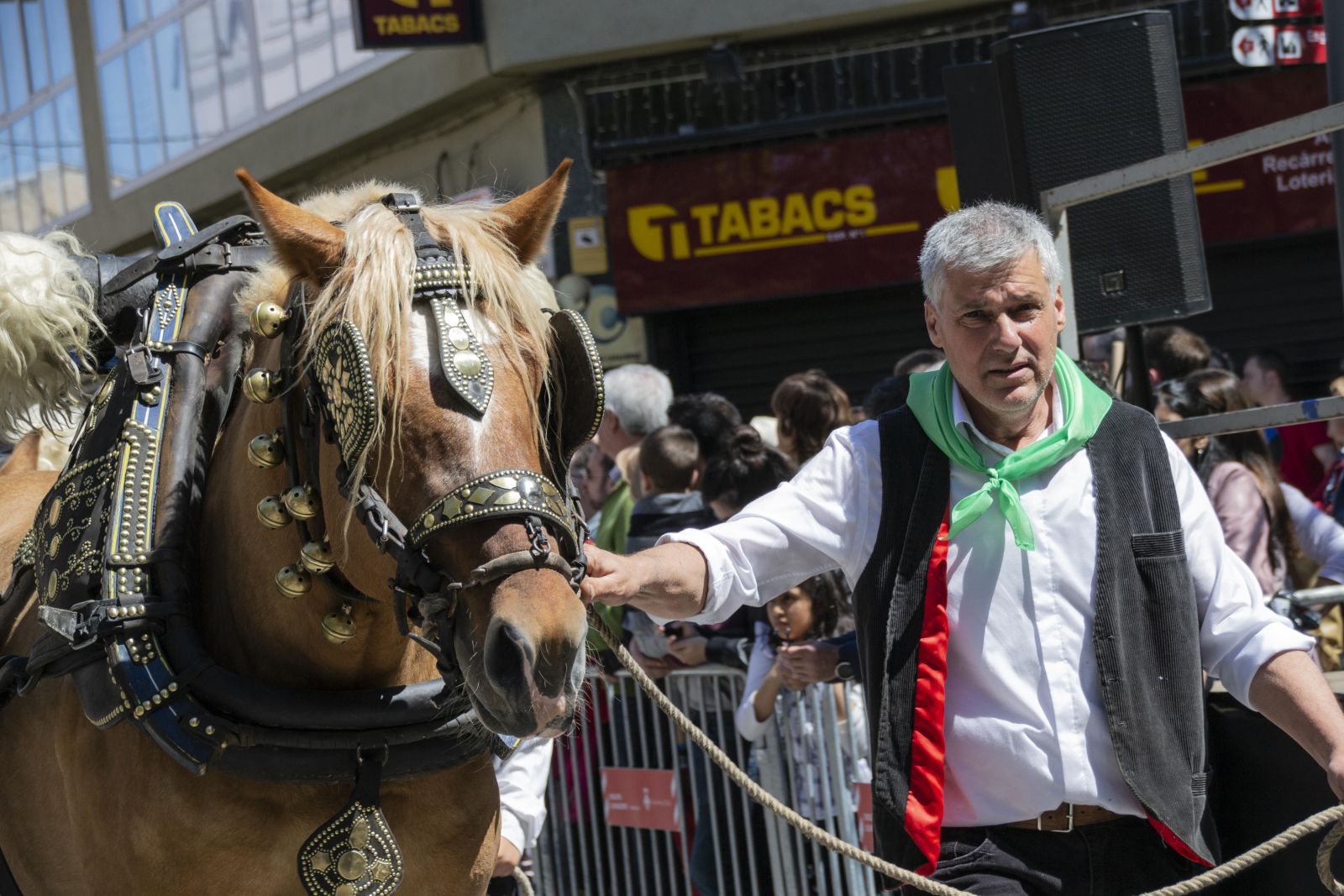 GALERIA! Les millors imatges de la 22a Trobada Nacional dels Tres Tombs