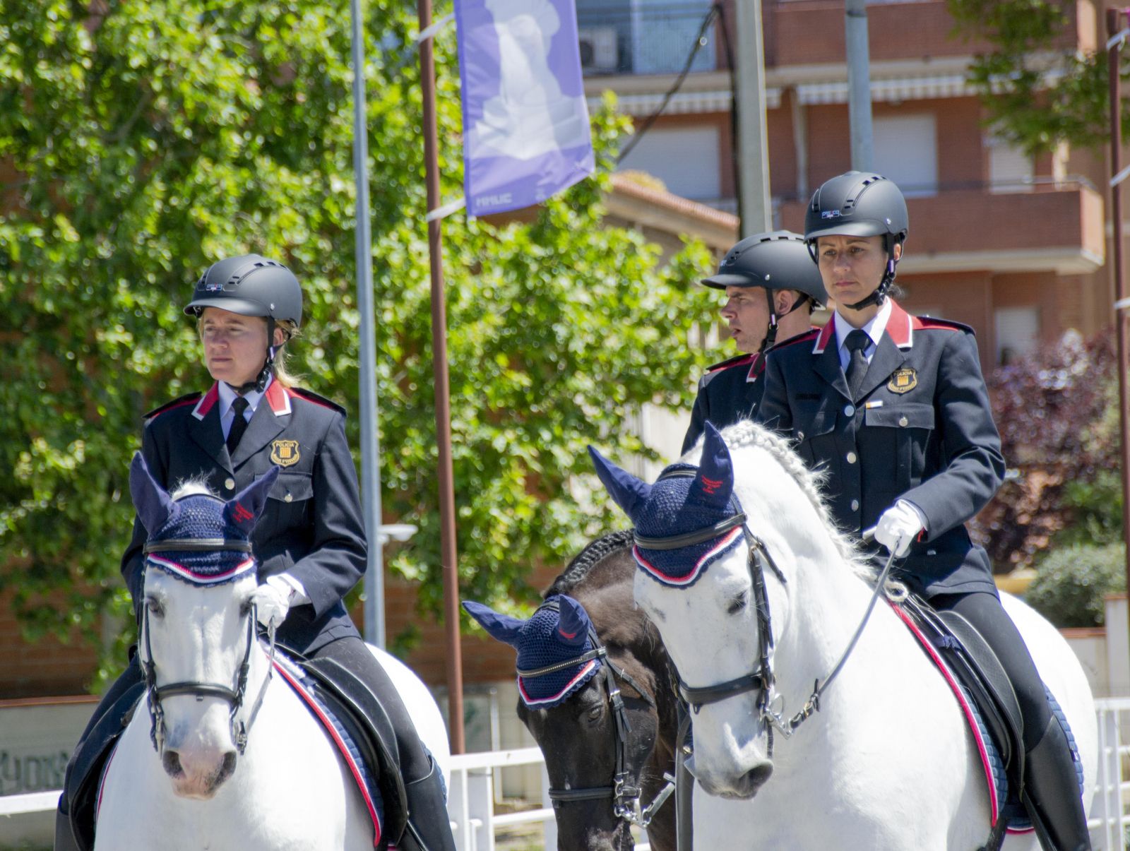 GALERIA! Les millors imatges de la 22a Trobada Nacional dels Tres Tombs