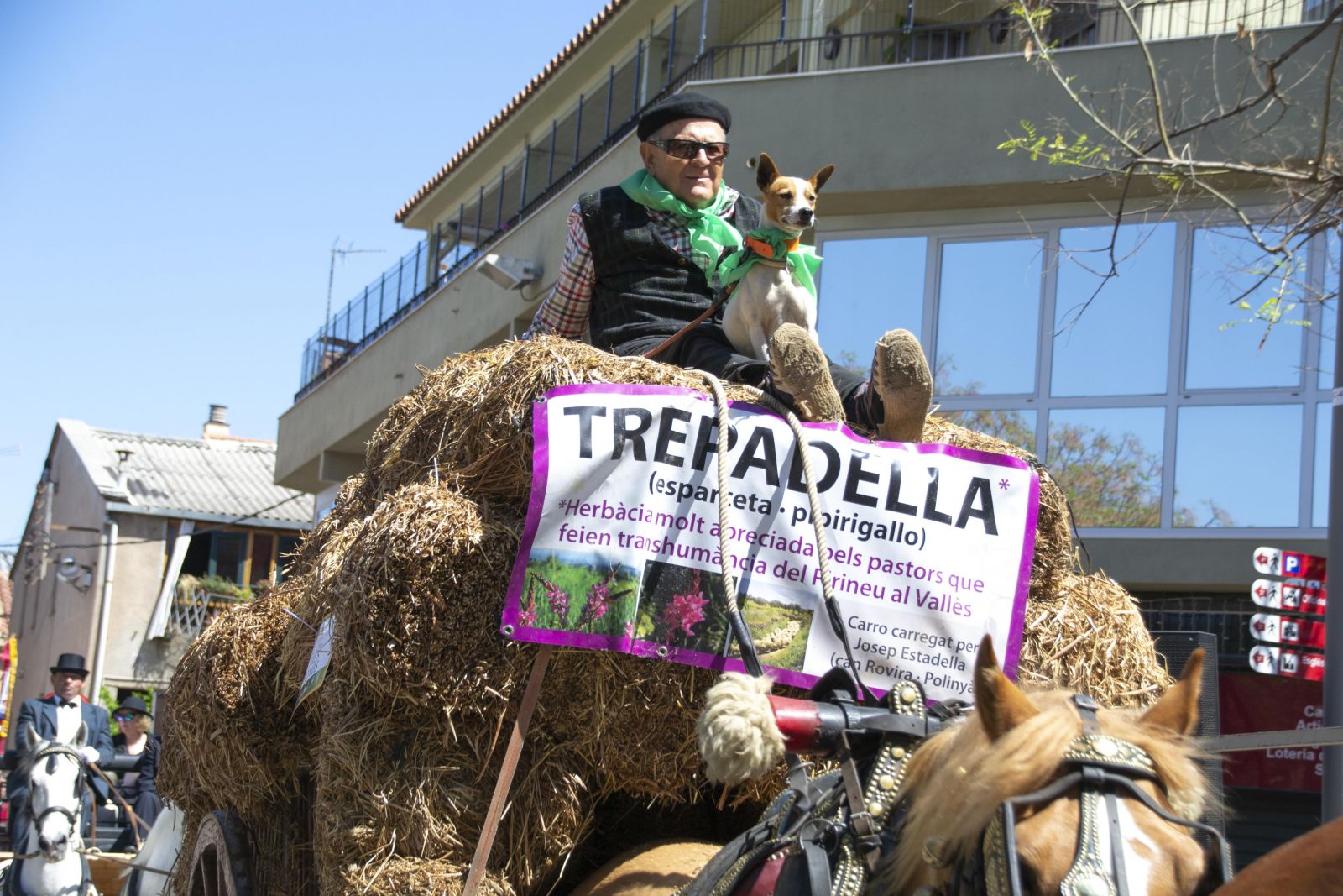 GALERIA! Les millors imatges de la 22a Trobada Nacional dels Tres Tombs