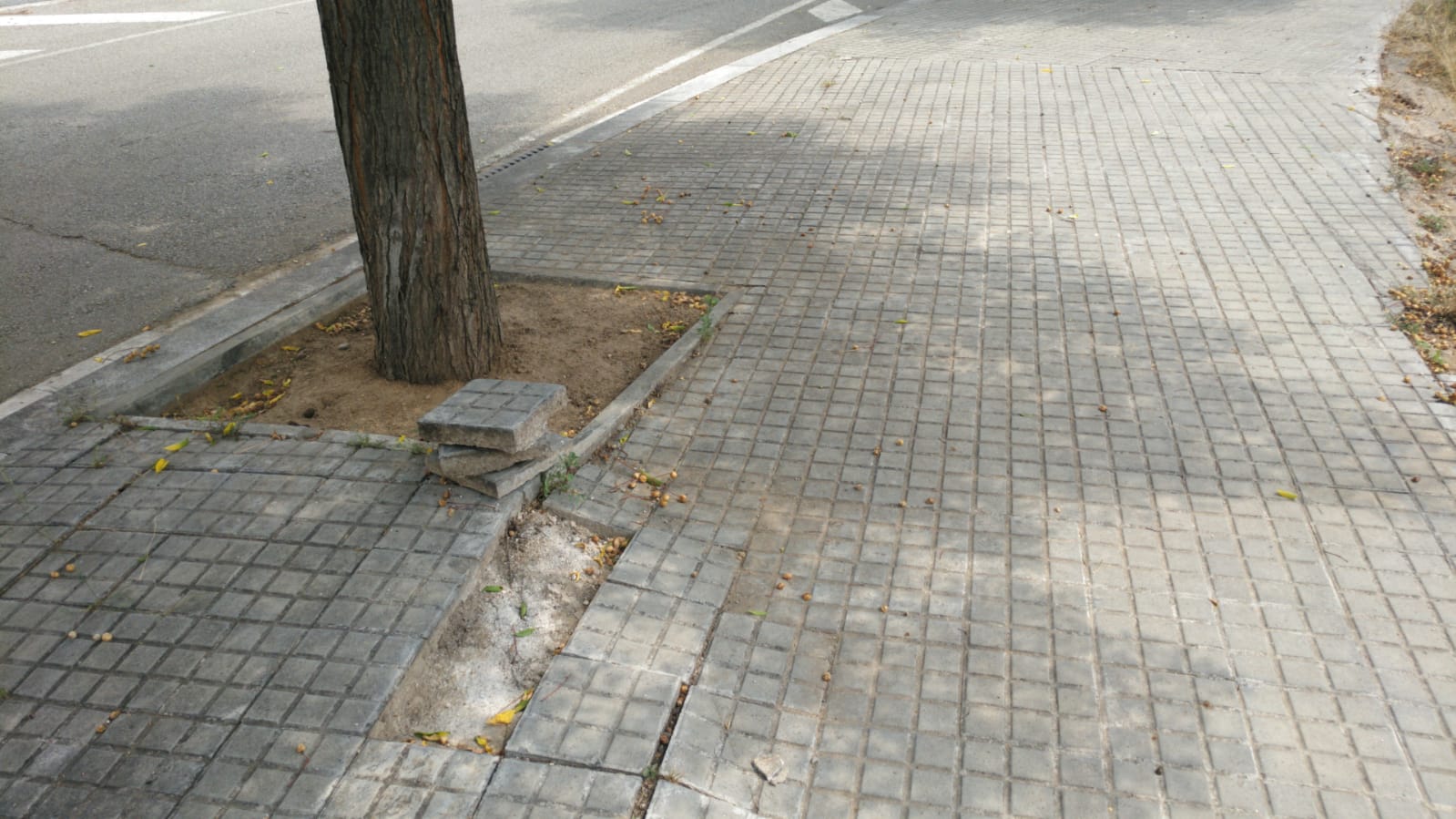 Vorera trencada als voltants de la plaça Andalusia de Rubí | Cedida