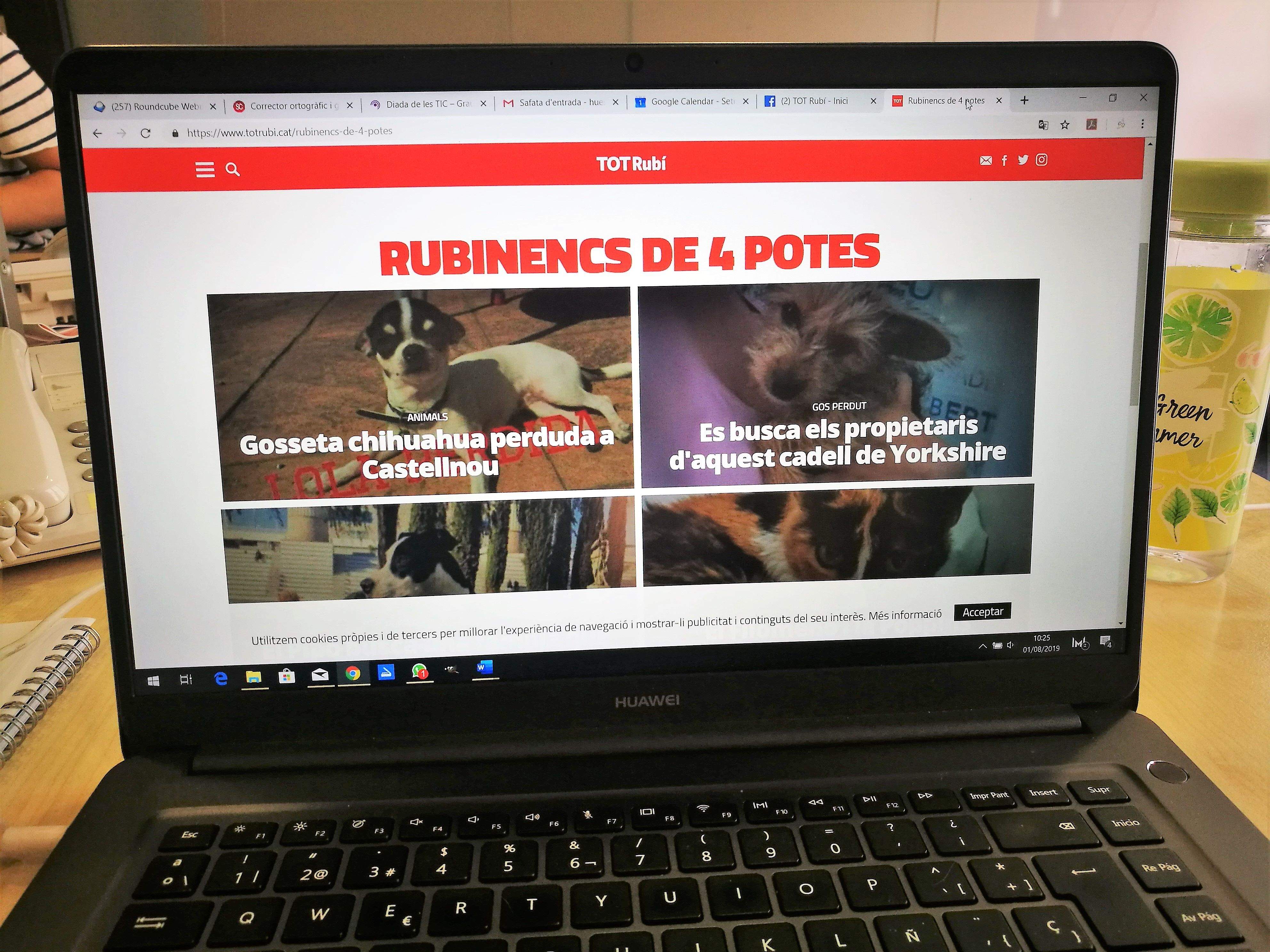 Ja està disponible la secció 'Rubinencs de 4 potes' Ja està disponible la secció 'Rubinencs de 4 potes'