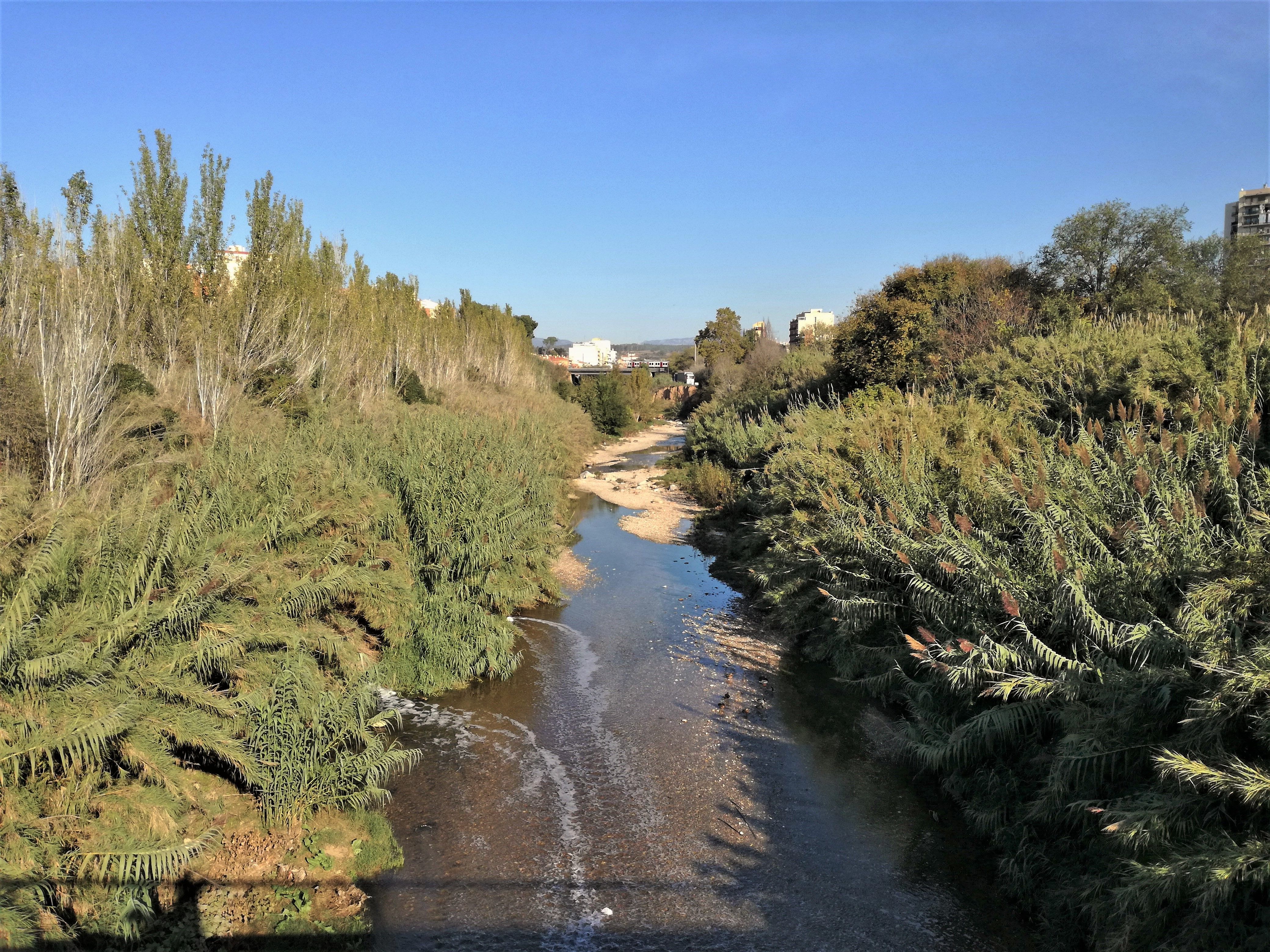 La riera de Rubí des del pont de Cova Solera. J.V