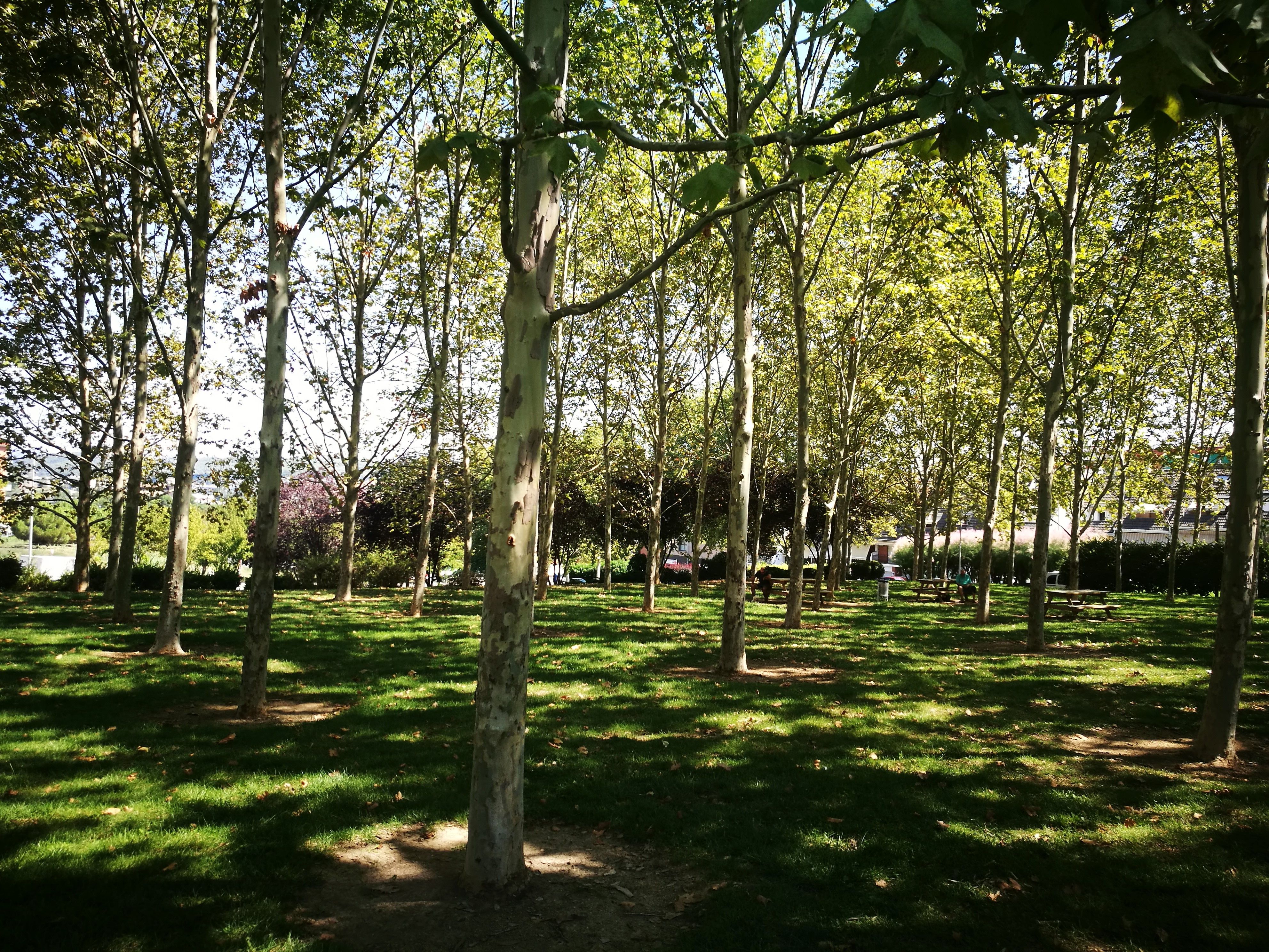 Parc de l'avinguda de les Flors