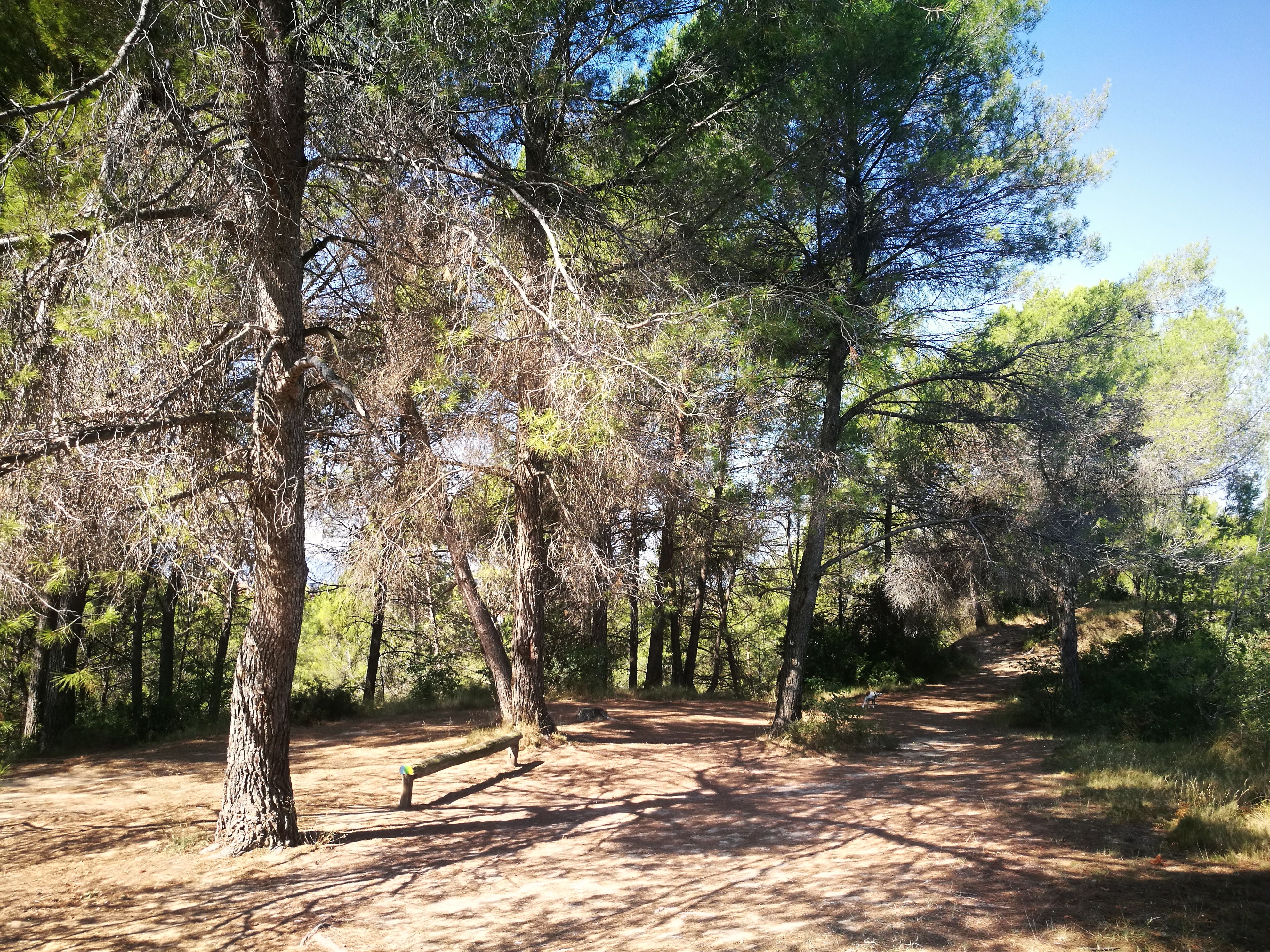 Voltants de l'ermita de Sant Genís