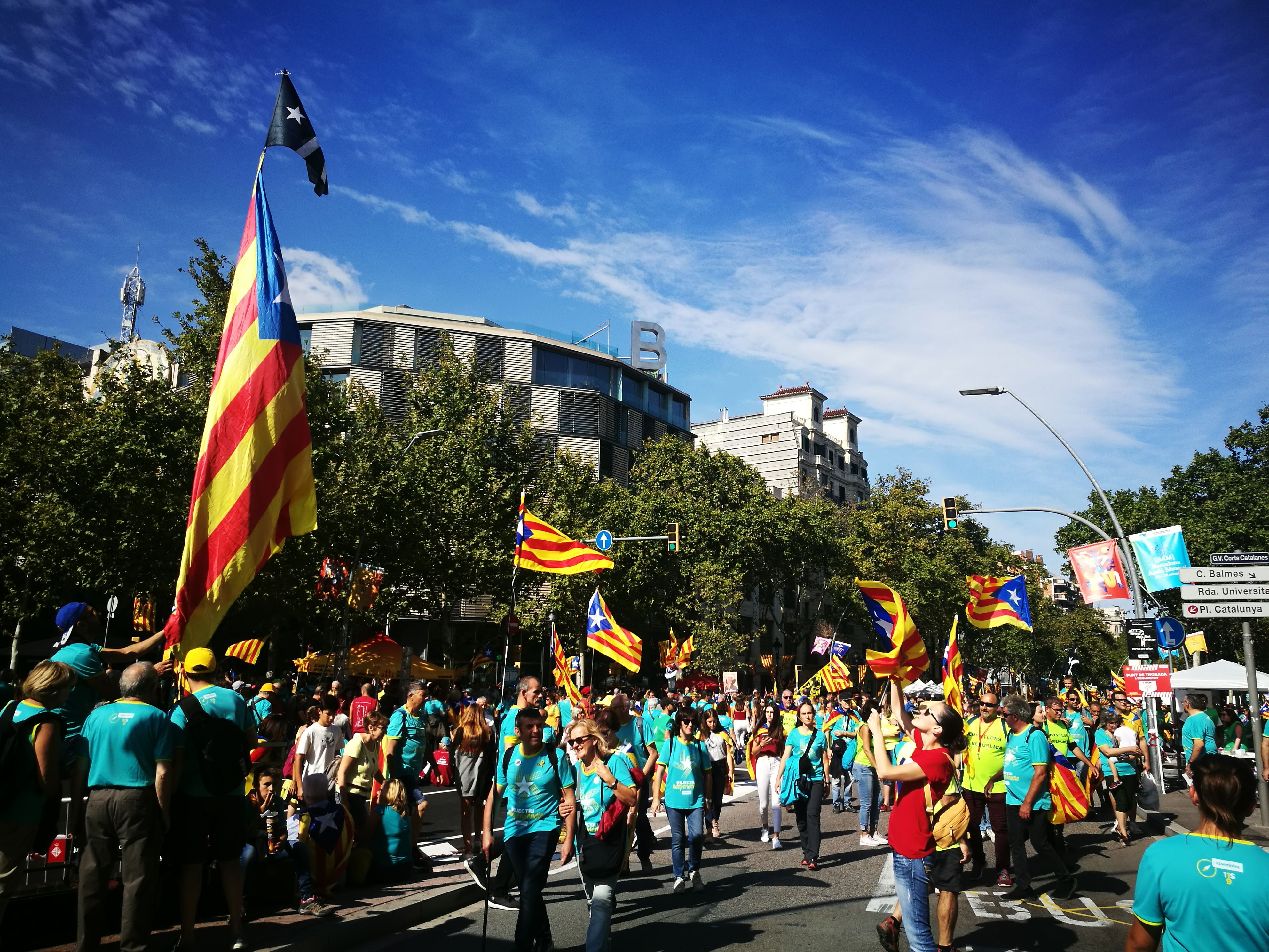 Manifestació Diada a Barcelona(1)