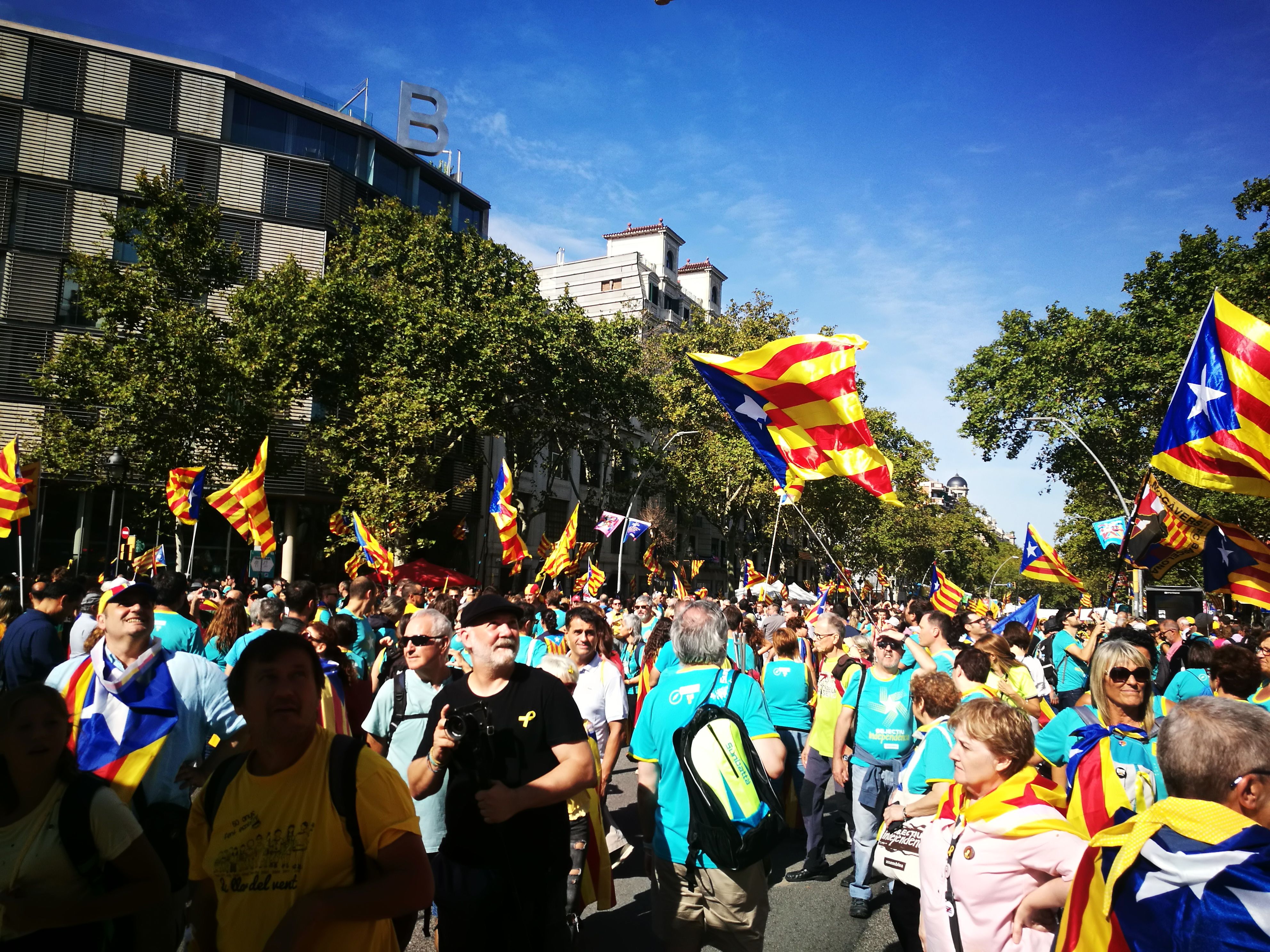 Manifestació Diada a Barcelona(2)