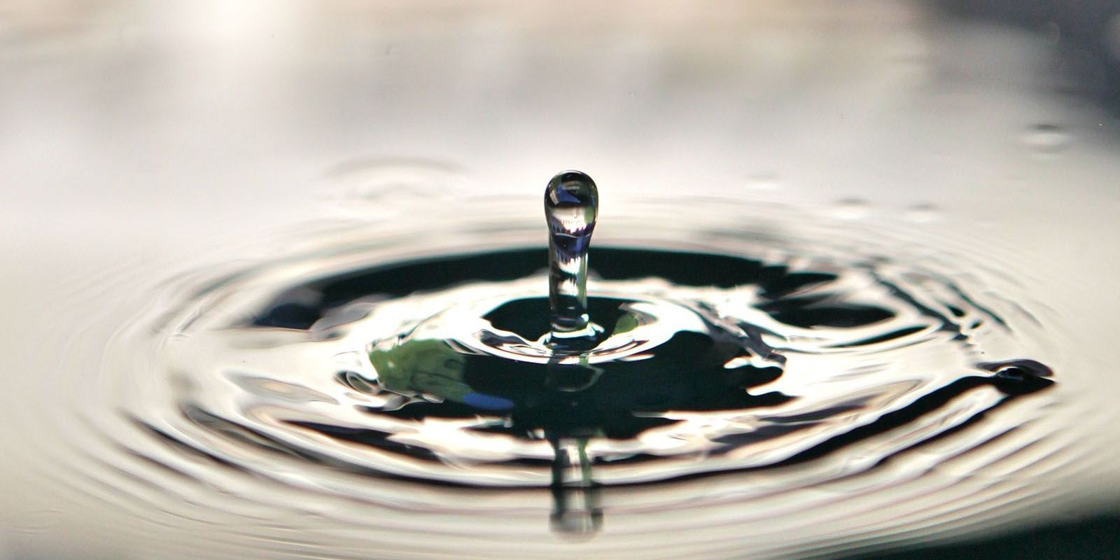 L'univers en una gota d'aigua FOTO: Artur Ribera