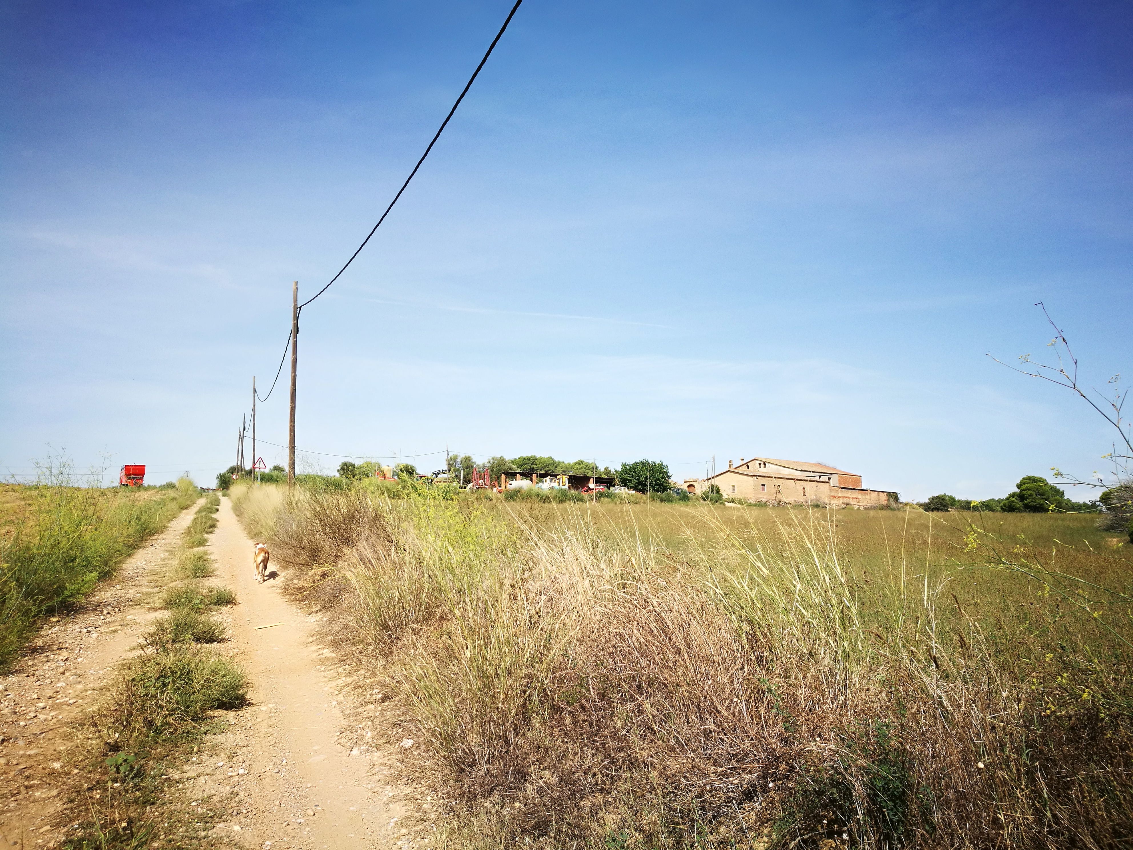 Can Serrafossà compta amb una gran plana agrícola