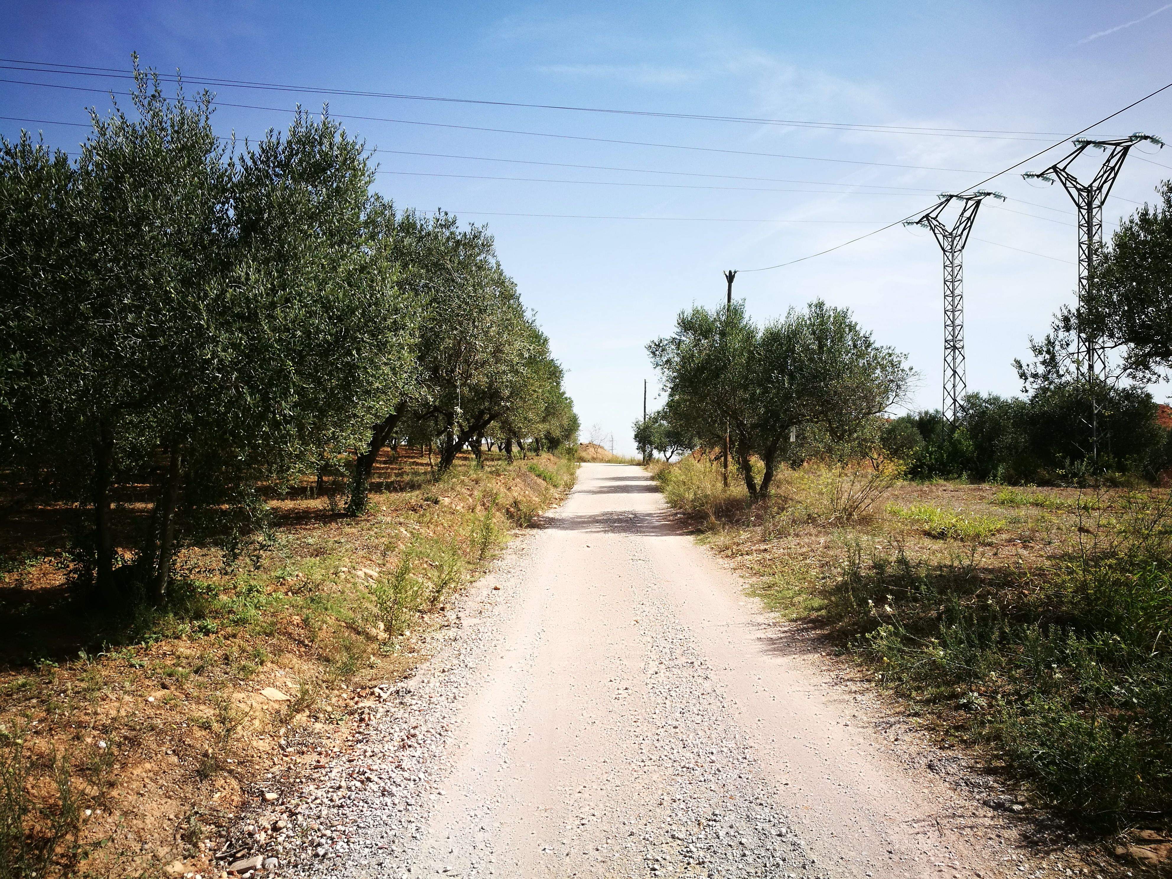 La zona de Can Balasc forma part del connector biològic de Rubí que uneix les serralades del litoral i del prelitoral