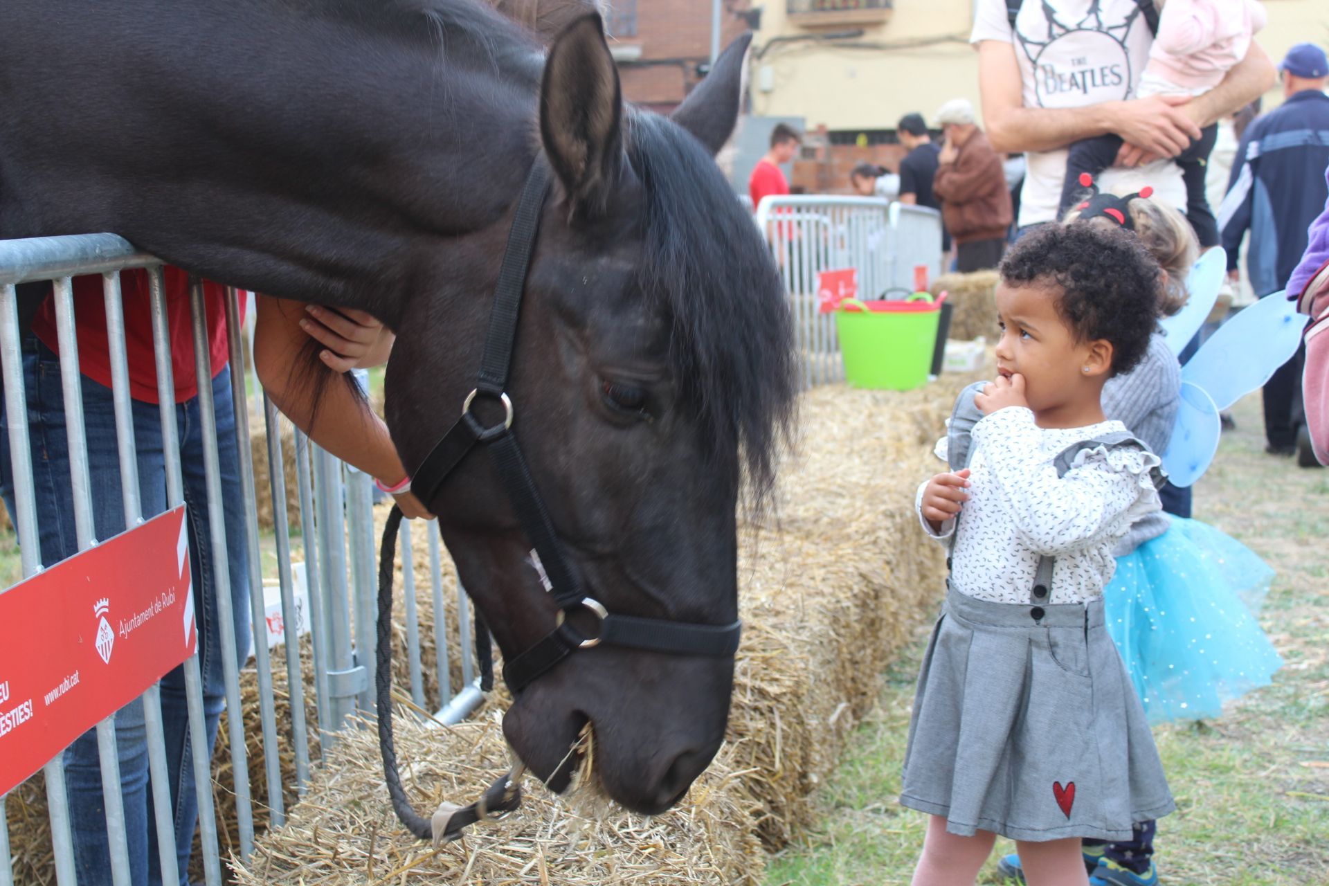Imatge d'arxiu de la Fira de Sant Galderic en el 2019. FOTO: Redacció  Imatge d'arxiu de la Fira de Sant Galderic en el 2019. FOTO: Redacció
