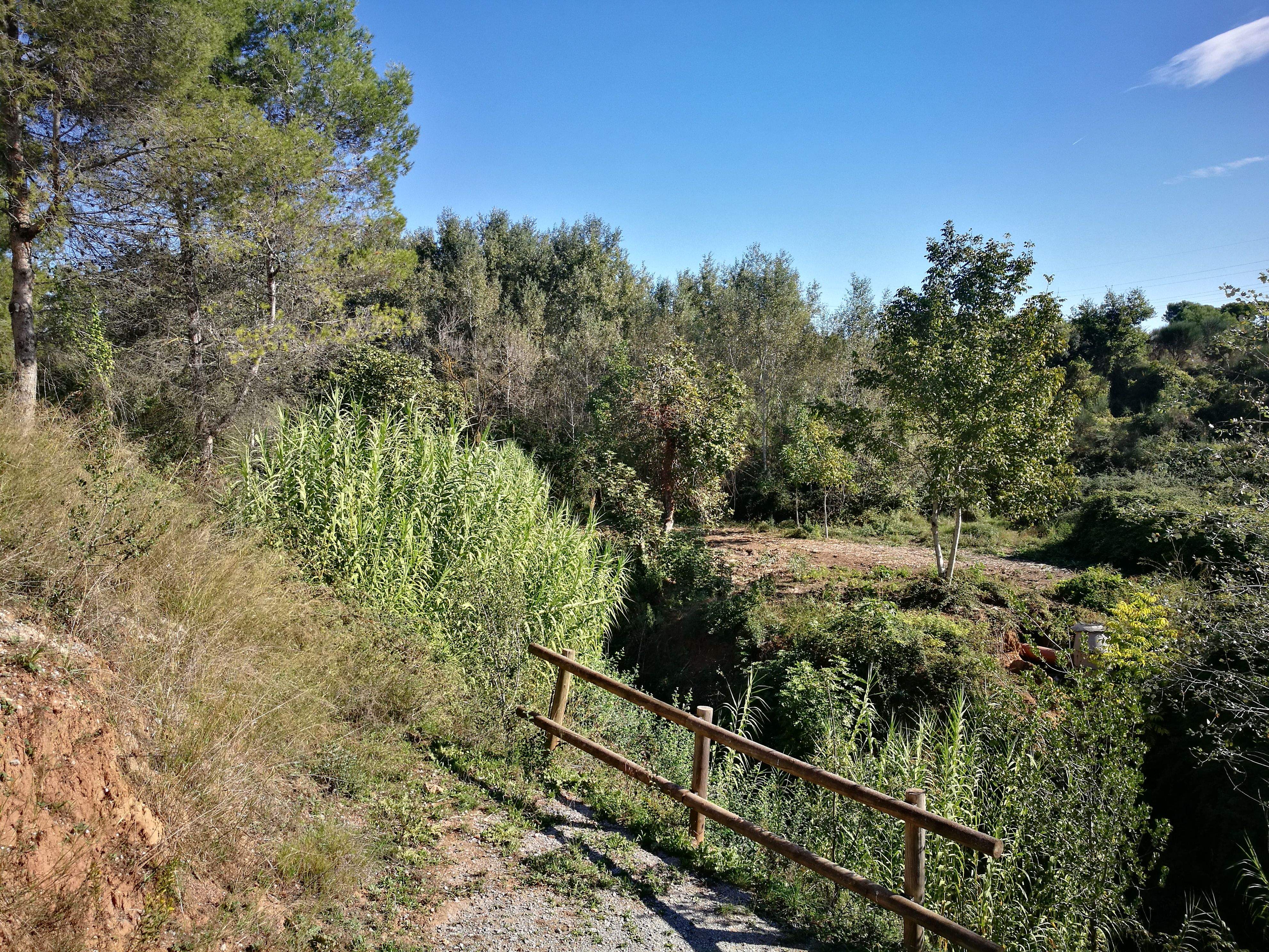 Estany dels Alous. FOTO: Redacció Estany dels Alous. FOTO: Redacció
