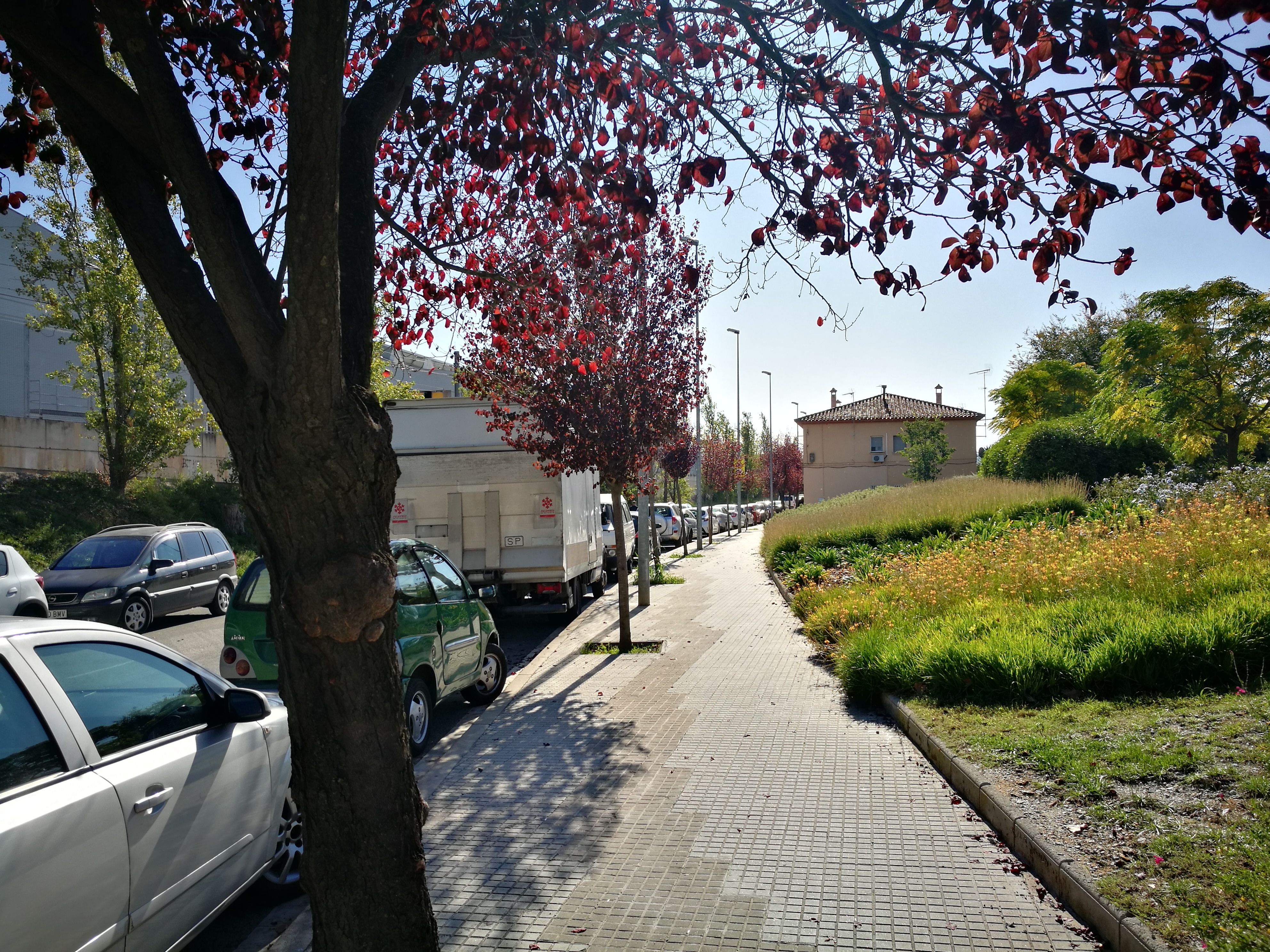 Carrer Antoni Sedó e Rubí. FOTO: Redacció