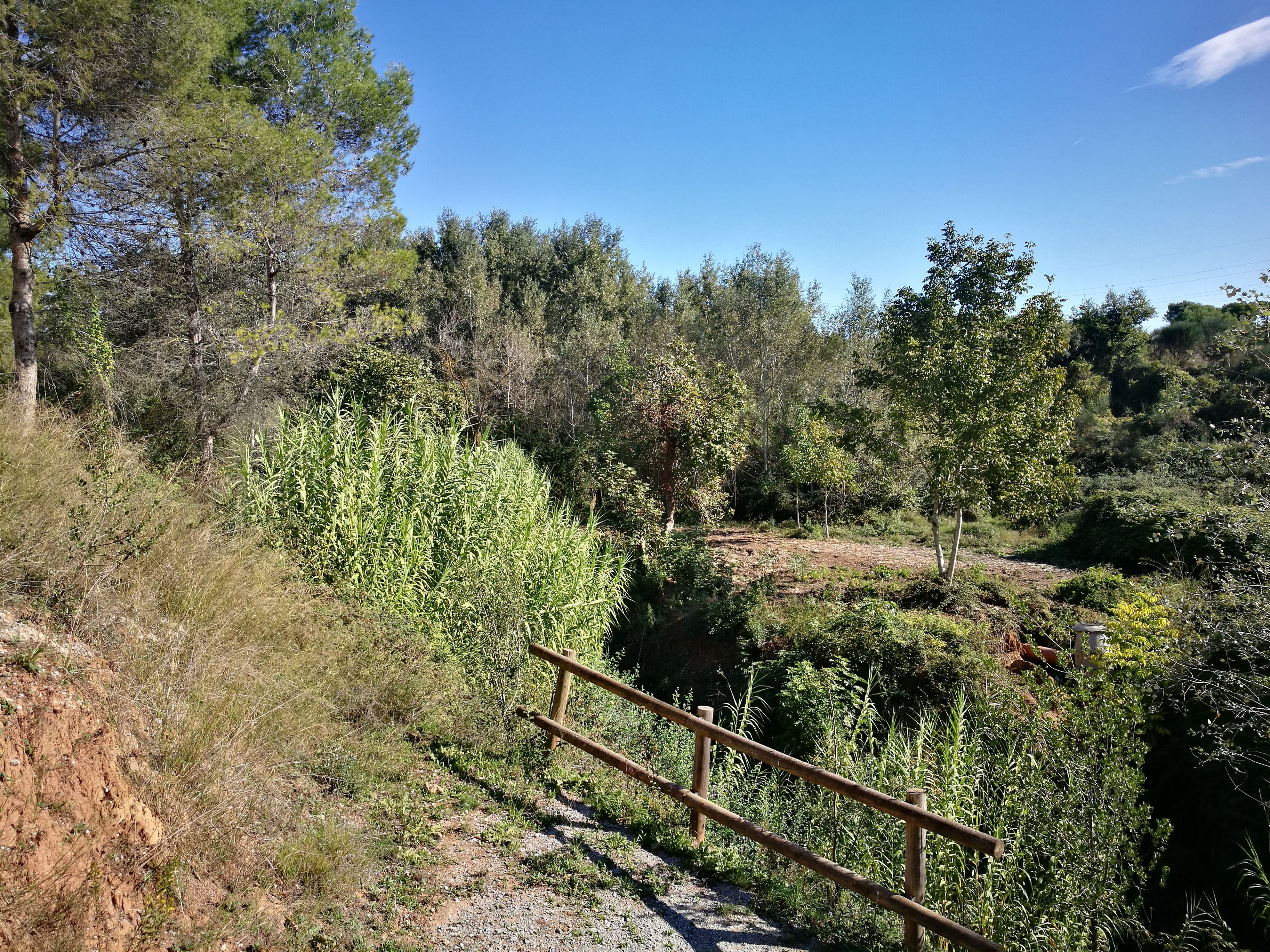 Baixarem per unes escales i continuarem pel marge dret del torrent, en direcció a l’AP-7 i l’estació de RENFE. FOTO: Redacció