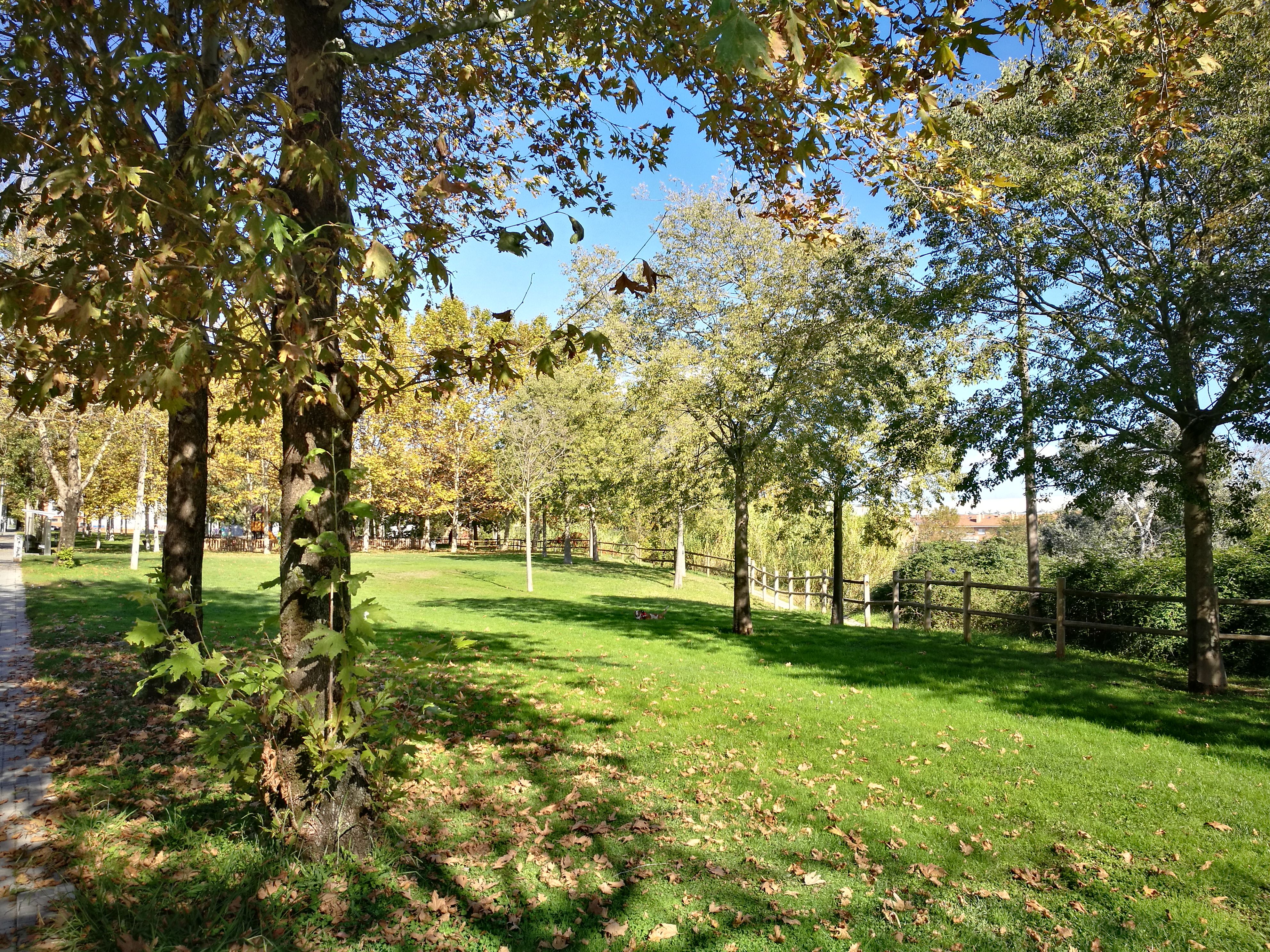 Parc del passeig de les Torres. FOTO: Redacció