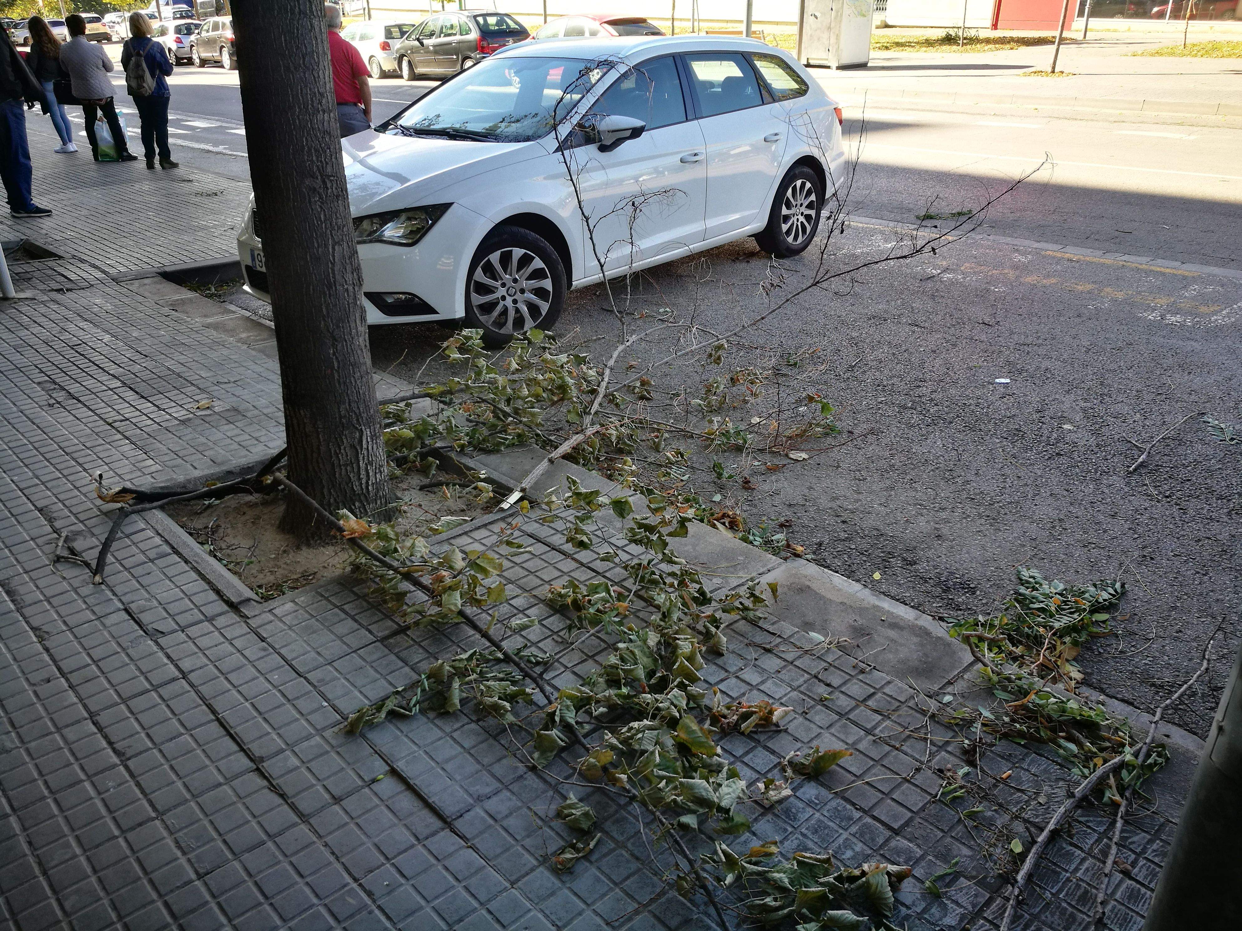 Branques caigudes a Rubí pel vent en episodis anteriors. FOTO: Redacció Branques caigudes a Rubí pel vent en episodis anteriors. FOTO: Redacció