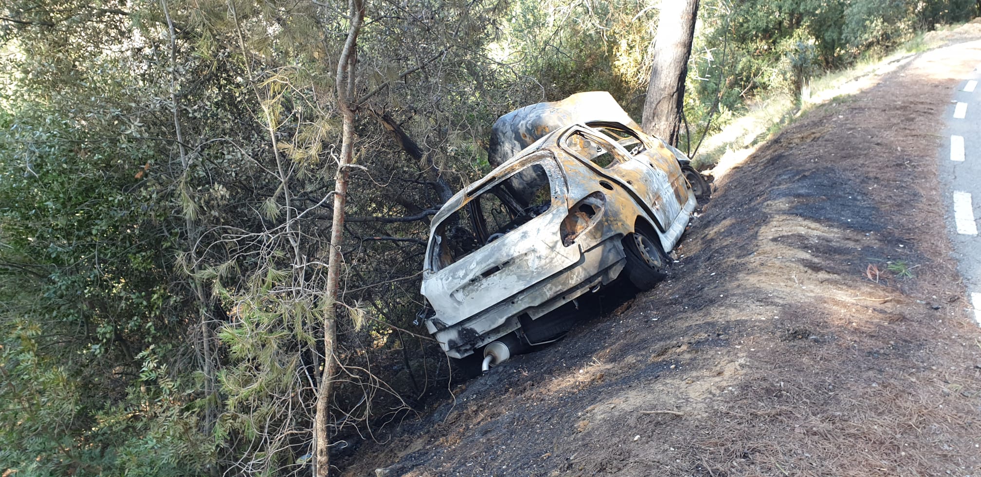 El conductor va xocar contra un arbre en un revolt. FOTO: Joaquim Gràcia