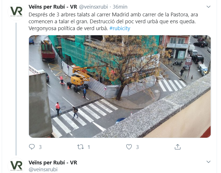 El grup municipal ha informat de la tala d'arbres en el seu compte de Twitter. 