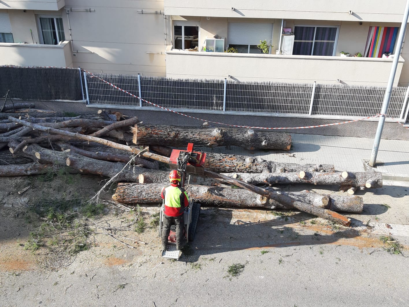 Segons el consistori, els pins talats eren un perill pels habitatges més propers. FOTO: Cedida