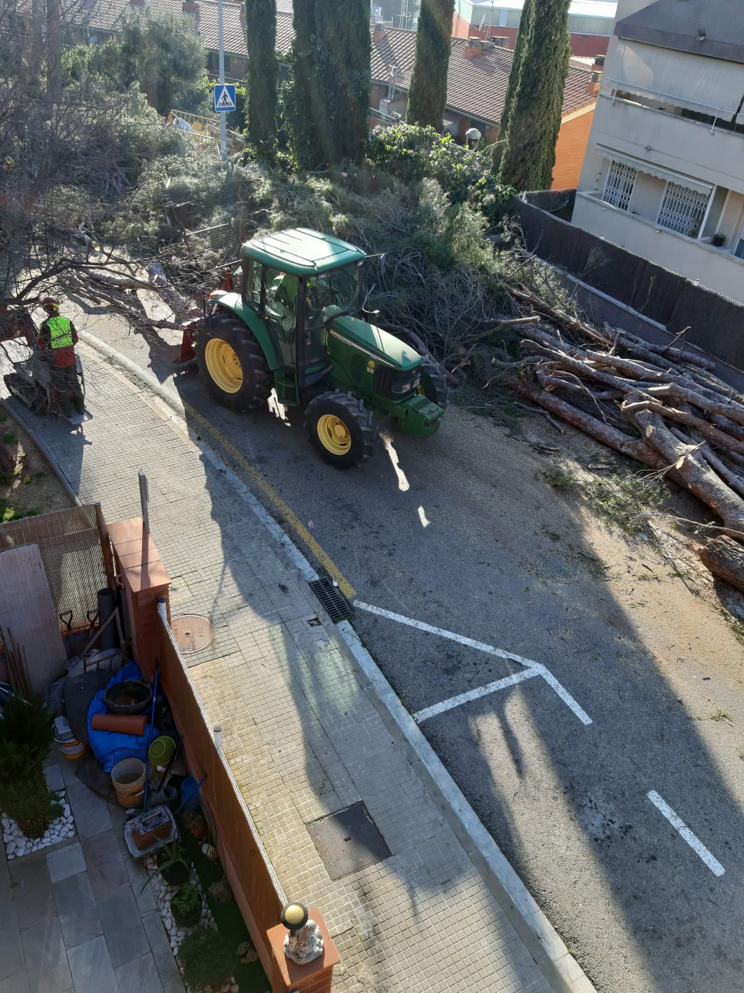 La veïna d'Els Nius assegura que ja s'han talat 15 pins i el consistori 10. FOTO: Cedida