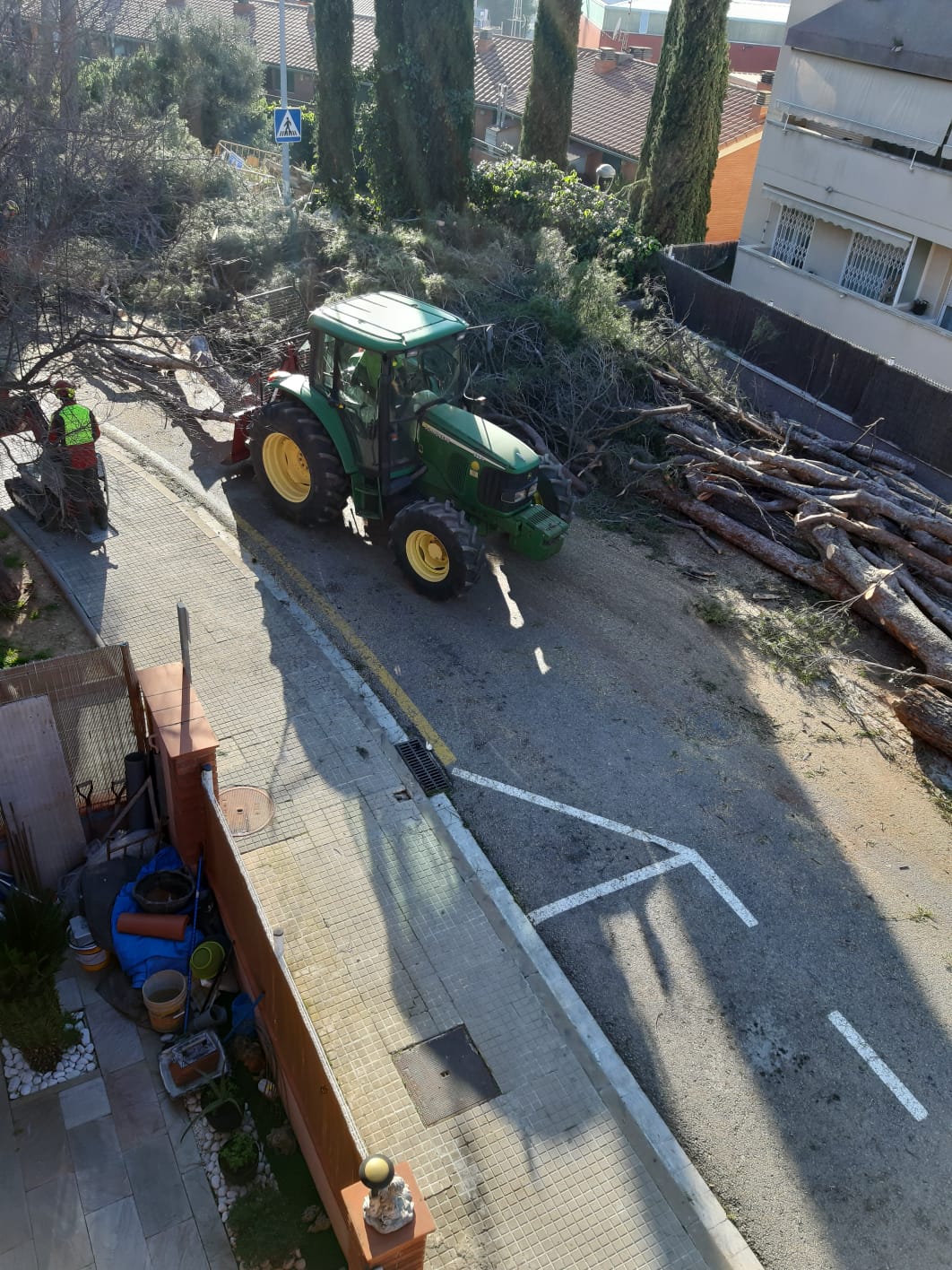 La veïna d'Els Nius assegura que ja s'han talat 15 pins i el consistori 10. FOTO: Cedida La veïna d'Els Nius assegura que ja s'han talat 15 pins i el consistori 10. FOTO: Cedida