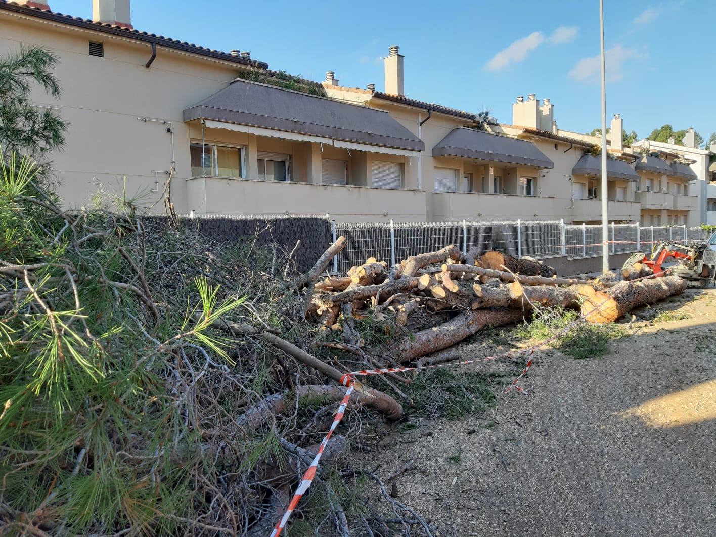 Tala d'arbres a la urbanització d'Els Nius de Rubí. FOTO: Cedida Tala d'arbres a la urbanització d'Els Nius de Rubí. FOTO: Cedida