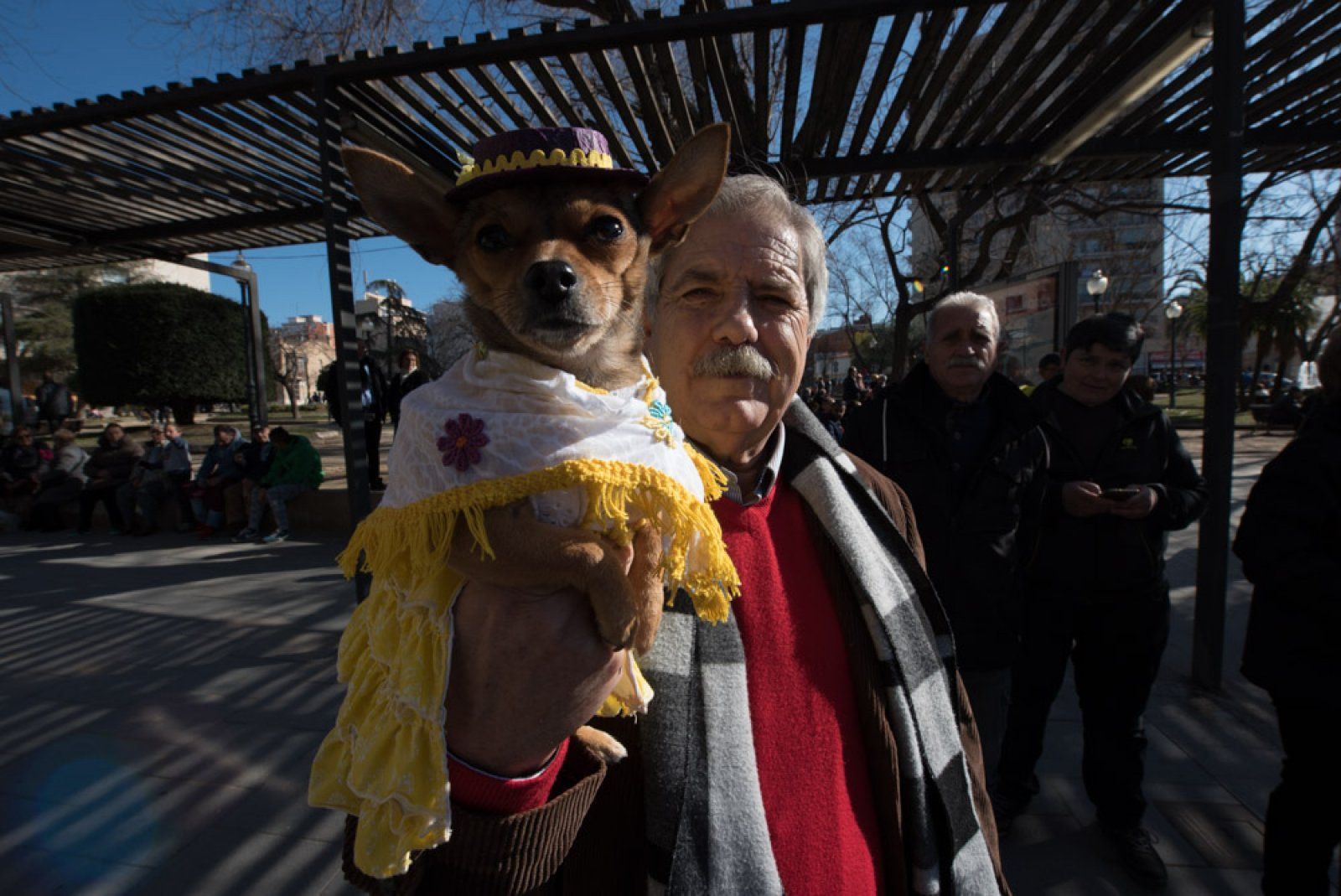 La llegenda de Sant Antoni Abat explica que era un gran amic dels animals. FOTO: Redacció