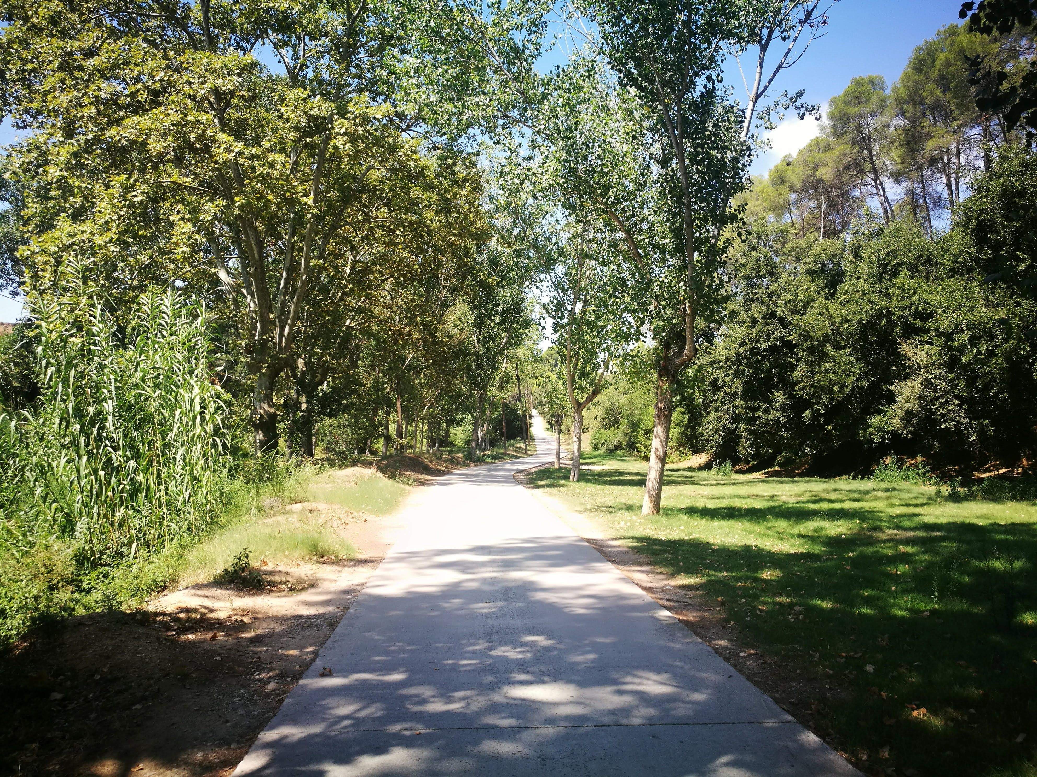 Can Xercavins. FOTO: Redacció